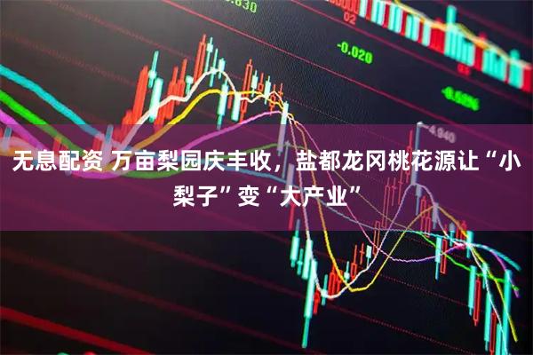 无息配资 万亩梨园庆丰收，盐都龙冈桃花源让“小梨子”变“大产业”