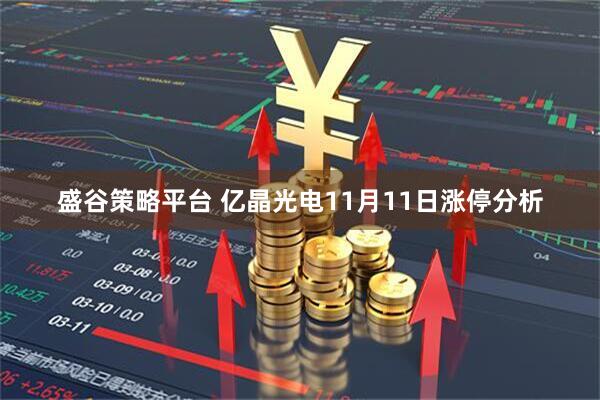 盛谷策略平台 亿晶光电11月11日涨停分析